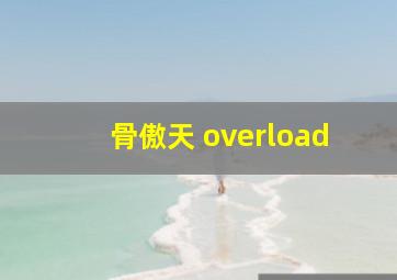 骨傲天 overload